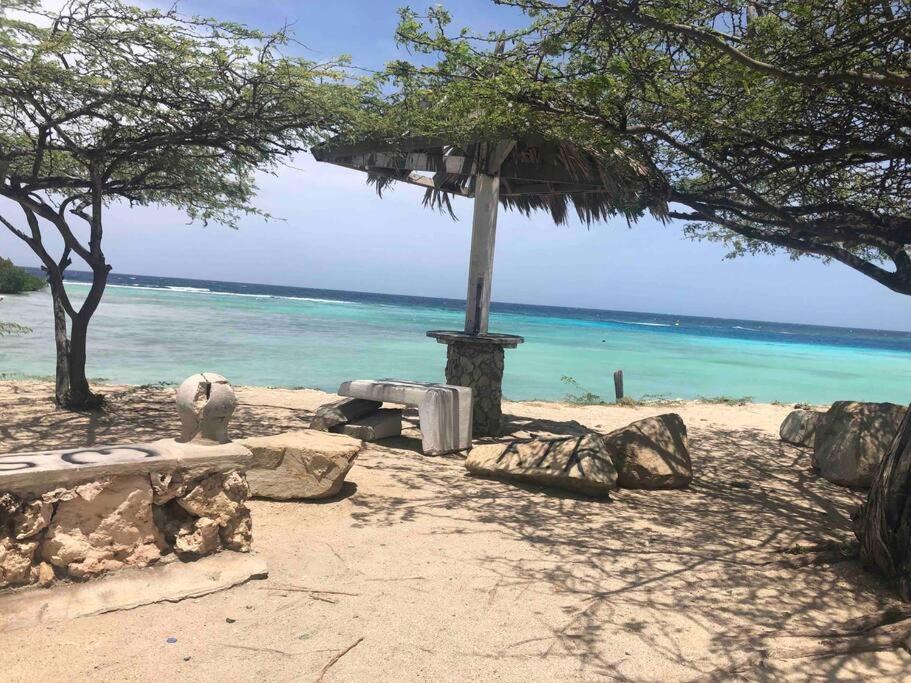 Cozy 1-Bedroom Apartment Minutes Away Drive To Mangel Halto Beach Savaneta Extérieur photo