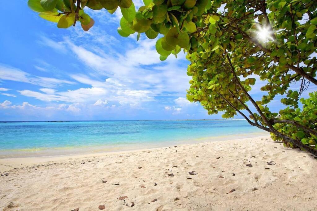 Cozy 1-Bedroom Apartment Minutes Away Drive To Mangel Halto Beach Savaneta Extérieur photo