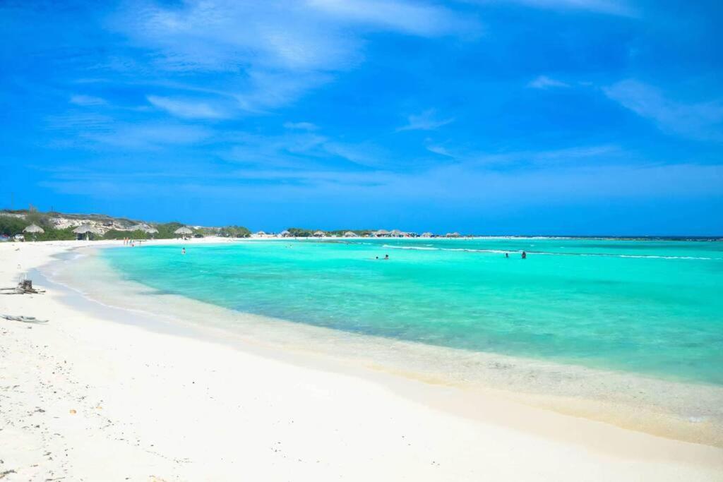 Cozy 1-Bedroom Apartment Minutes Away Drive To Mangel Halto Beach Savaneta Extérieur photo
