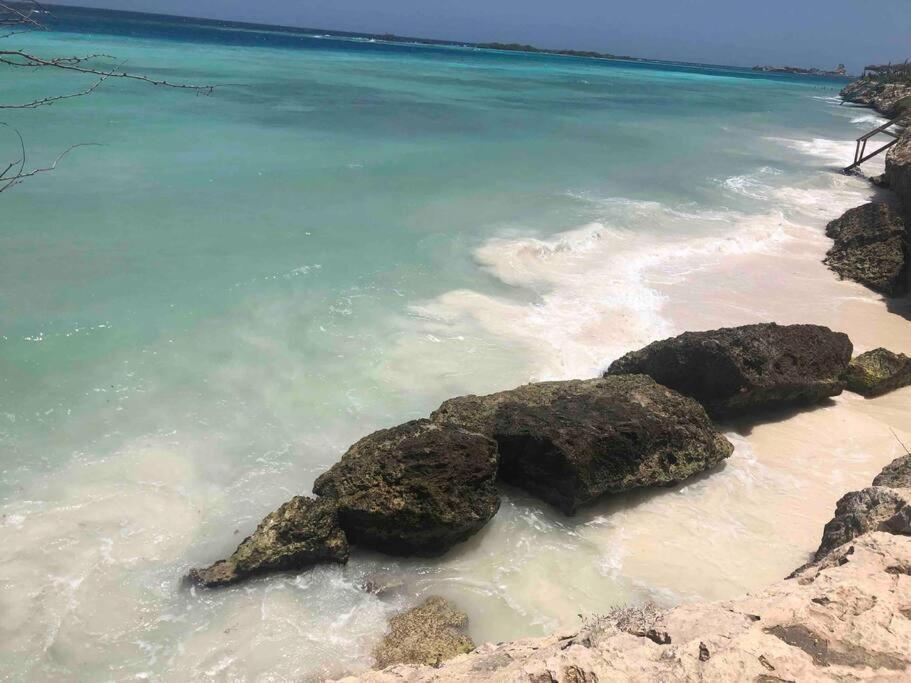 Cozy 1-Bedroom Apartment Minutes Away Drive To Mangel Halto Beach Savaneta Extérieur photo